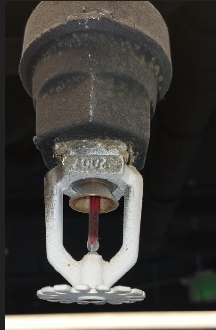 Fire Sprinkler Repair — Laurel Heights